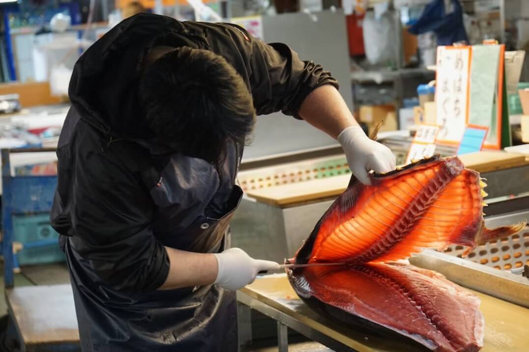 Selecting the Right Knife